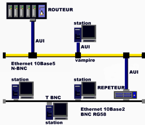 topologie bus