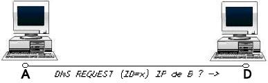 DNS ID 1