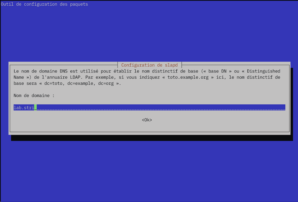Copie d'écran dpkg-reconfigure slapd