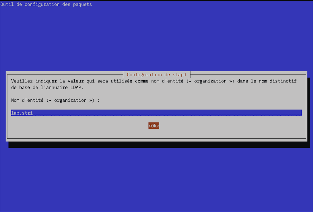 Copie d'écran dpkg-reconfigure slapd